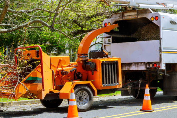 Best Tree Mulching  in South Monrovia Island, CA